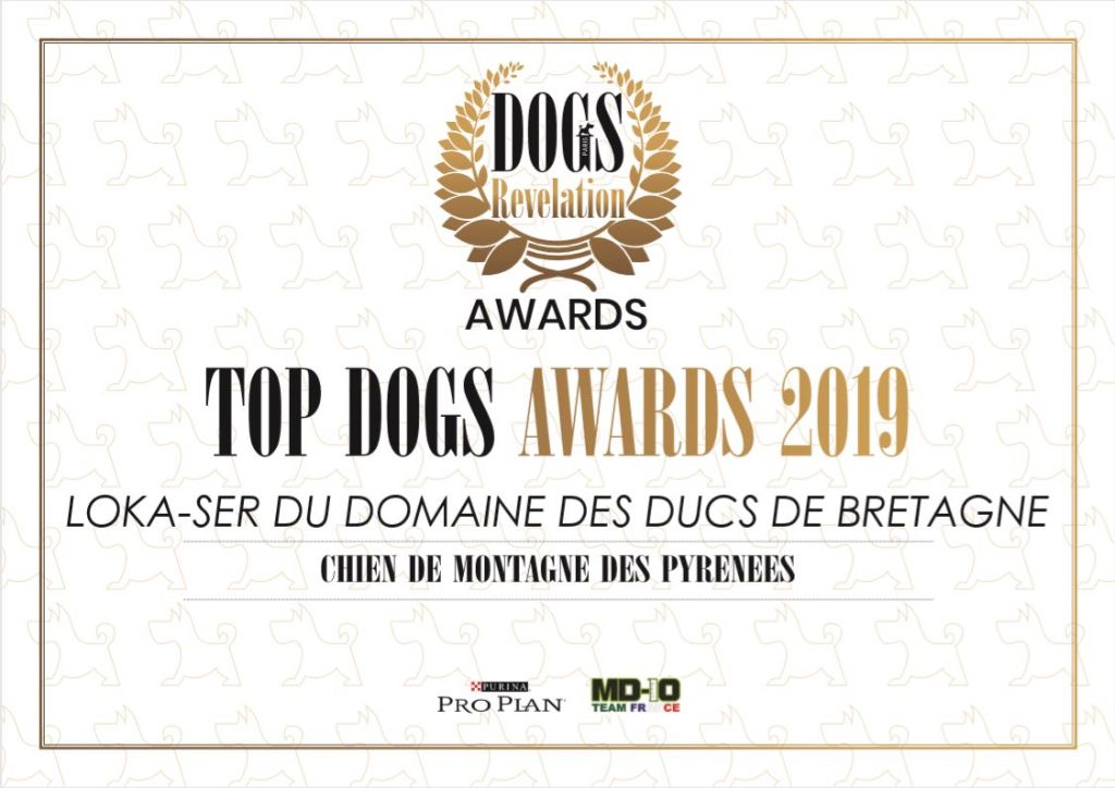 Du domaine des ducs de bretagne - TOP DOGS AWARDS 2019